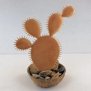 bunny cactus